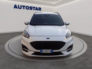 FORD Kuga 1.5 ecoblue ST-Line X 2wd 120cv auto