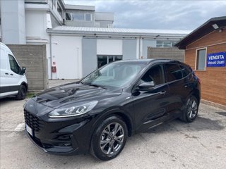 FORD Kuga 1.5 ecoblue ST-Line 2wd 120cv