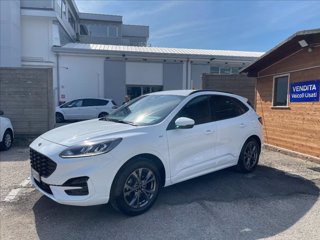 FORD Kuga 1.5 ecoblue ST-Line 2wd 120cv