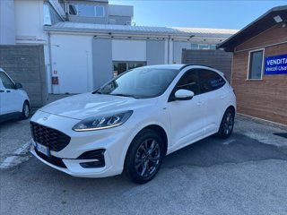 FORD Kuga 1.5 ecoblue ST-Line 2wd 120cv auto