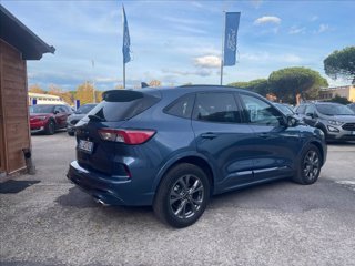 FORD Kuga 1.5 ecoblue ST-Line 2wd 120cv auto