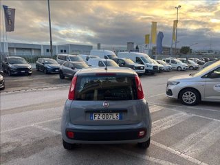 FIAT Panda 1.2 Easy s&s 69cv my19