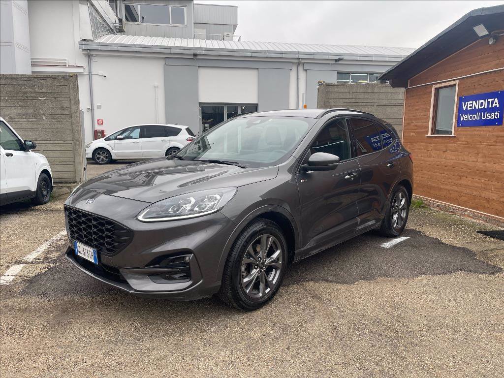 FORD Kuga 2.0 ecoblue ST-Line X 2wd 120cv auto