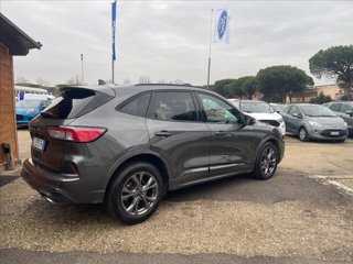 FORD Kuga 2.0 ecoblue ST-Line X 2wd 120cv auto
