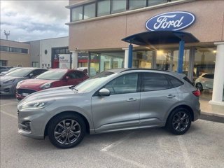 FORD Kuga 1.5 ecoblue ST-Line 2wd 120cv auto
