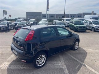 FIAT Punto 5p 1.4 natural power Lounge 70cv