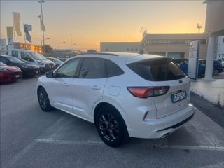 FORD Kuga 1.5 ecoboost ST-Line 2wd 150cv