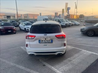 FORD Kuga 1.5 ecoboost ST-Line 2wd 150cv