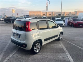 FIAT Panda 0.9 t.air t. Pandazzurri s&s 85cv