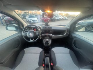 FIAT Panda 0.9 t.air t. Pandazzurri s&s 85cv