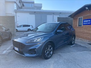 FORD Kuga 2.0 ecoblue ST-Line X 2wd 120cv auto
