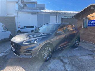 FORD Kuga 2.0 ecoblue ST-Line X 2wd 120cv auto