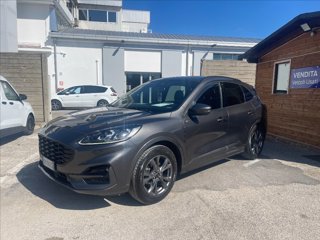 FORD Kuga 2.0 ecoblue ST-Line X 2wd 120cv auto