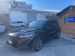 FORD Kuga 1.5 ecoblue ST-Line 2wd 120cv
