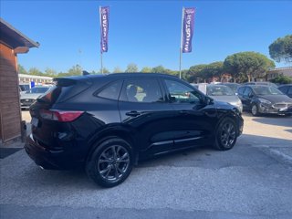 FORD Kuga 1.5 ecoblue ST-Line 2wd 120cv